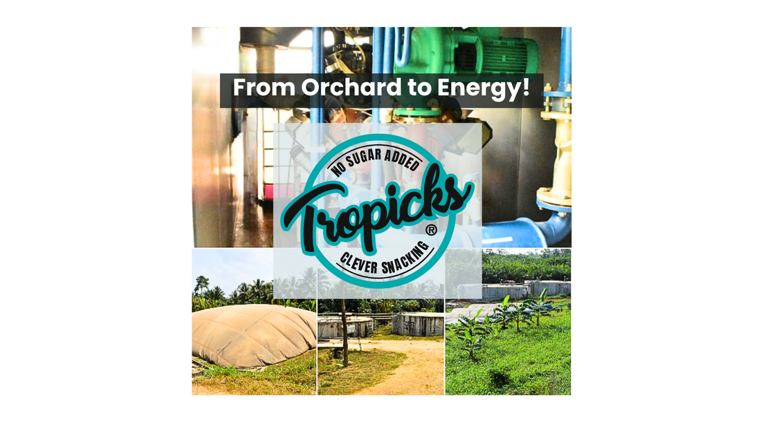 From Orchard to Energy!